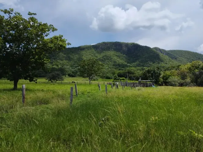 Vendo sítio em Santo Antônio do Leverger - MT
