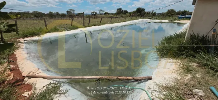 CHÁCARA 4'5 HECTARES DE PORTEIRA FECHADA 100% PLANA CASA SEDE CASA DE CASEIRO BRAZLÂNDIA 1