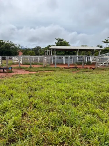 Fazenda dupla aptidão com 29 alqueires 8 km de estrada de chão fazenda top