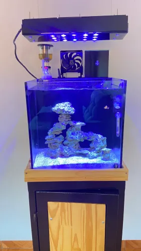 Aquario Marinho 64 litros