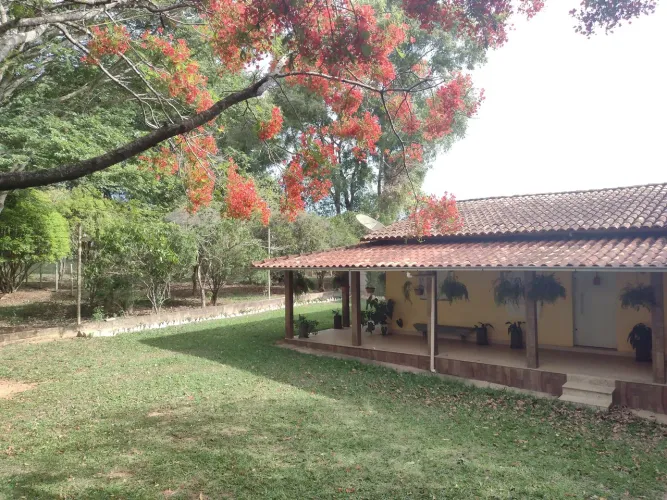 Sítio à Venda em Igaratinga/MG - 20.000 m² com Piscina, Sauna e Lagoa