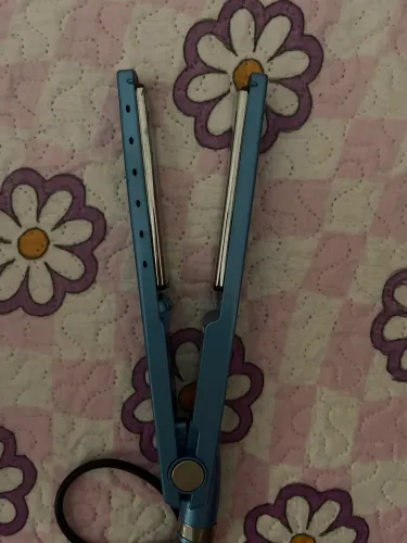 CHAPINHA EM ESTADO DE NOVA