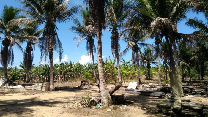 Vendo sítio em Trancoso (26.000 m²)ou parceria para condomínio