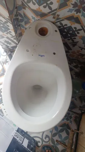 VASO SANITÁRIO