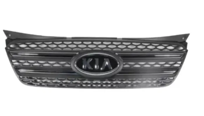 Grade Radiador Com Moldura Cromada Picanto 2008 2009