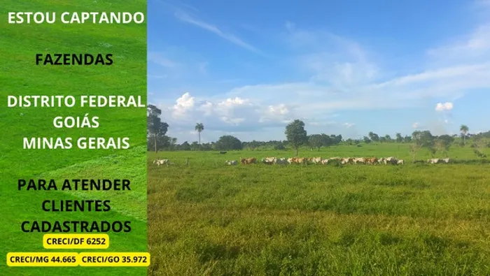 Fazendas em Minas Gerais Goiás e Distrito Federal