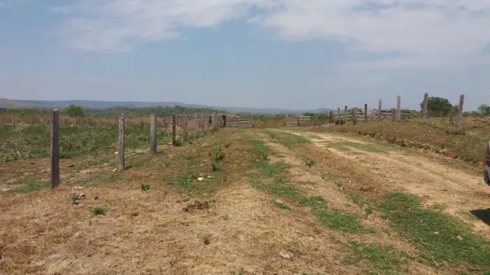 Fazenda 1.000 hectare em Brasilândia MT. 20 km da cidade R$:8 milhões 
