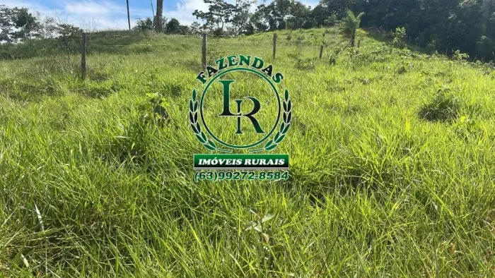 Fazenda de 40 Alqueires próximo a Palmas TO