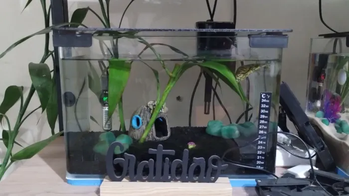 Aquário vidro curvo ocean tech