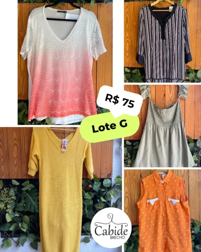 Lote de roupas TAM G