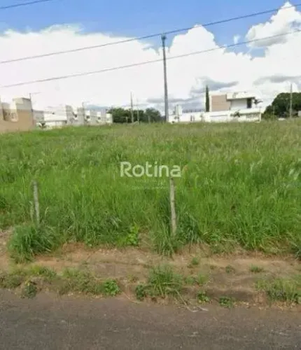 Terreno à venda, Vigilato Pereira - Uberlândia/MG - Rotina Imobiliária