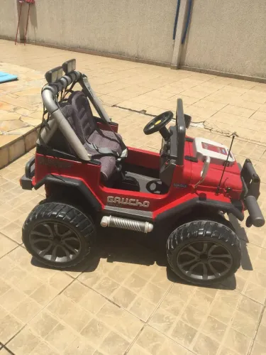 Carrinho Elétrico Gaúcho Grande