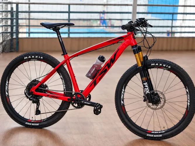 Bicicleta stw