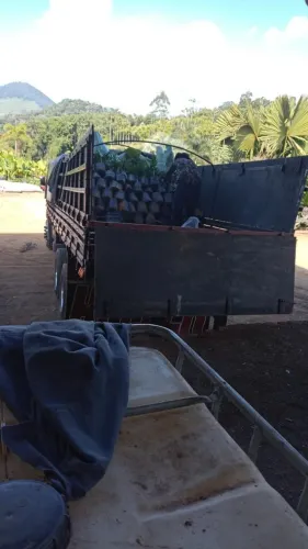 Tampa graneleira para adaptar em grade baixa 