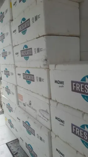 Caixa termica de  isopor- 80 litros 