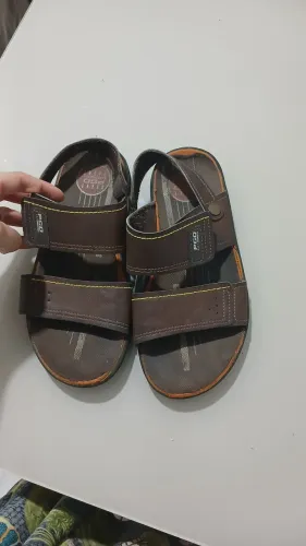 Percata masculina Tam.36 conservada
