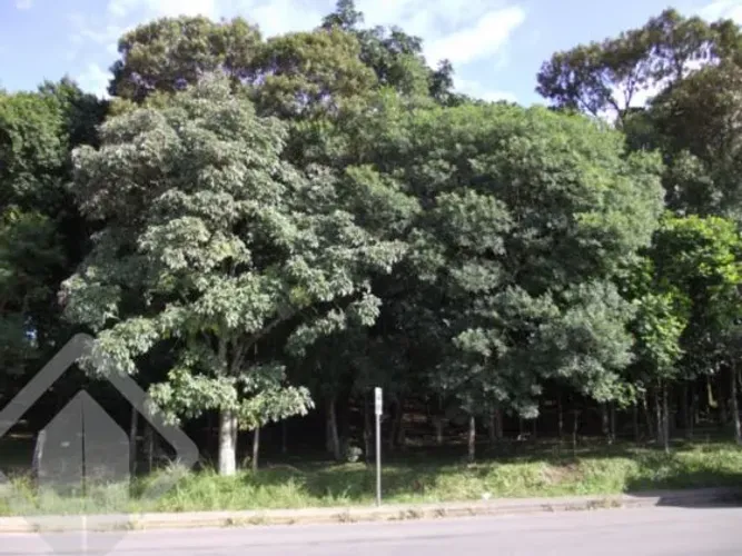 Terreno no bairro Cruzeiro