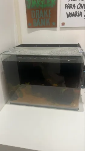 Aquario