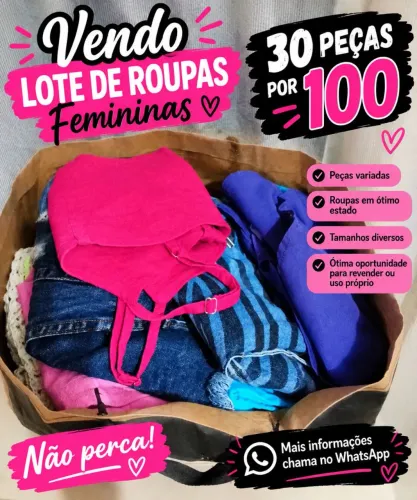 Lote de roupas femininas