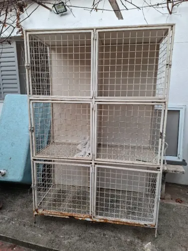 Canil para pets de 6 lugares , usado de ferro precisa fazer pintura nova