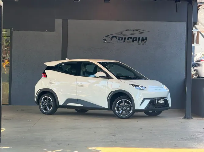 BYD Dolphin Mini (Elétrico) 2024