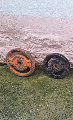 Duas anilhas de 10 kg