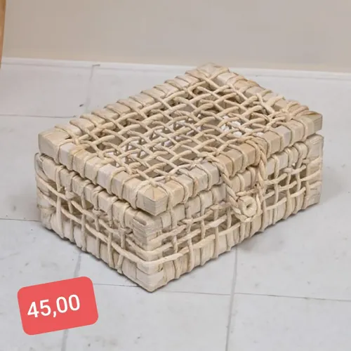 Organizador com Tampa 