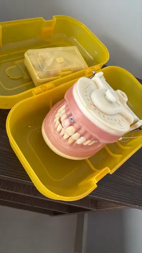 Manequim odontologia
