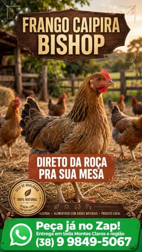 Frangos caipira