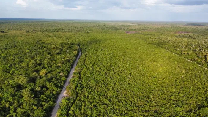 Fazenda á venda para lavoura  com 2.100 hectares, entre Chapadinha e Urbano Santos no Mara