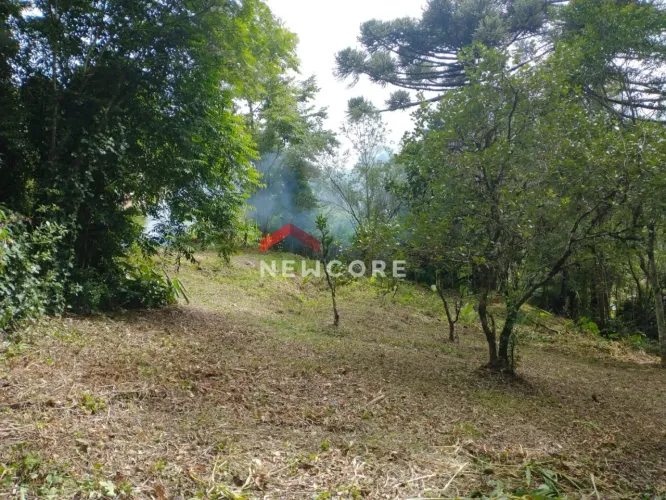 Lote em Rua da Britadeira - Britadeira - São Francisco de Paula/RS