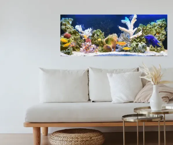 Quadro aquário com impressão em vidro