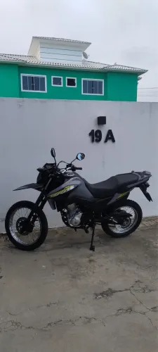 Bros 2025
