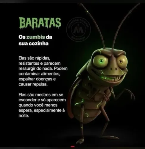 DETETIZAÇÃO PRAGAS