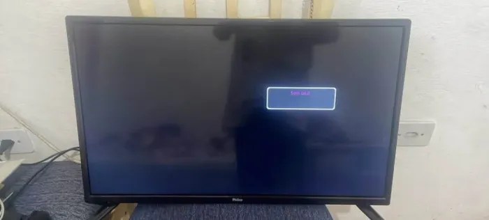 Tv 28 polegada