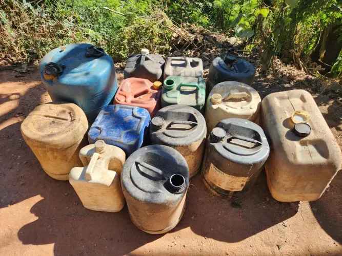 Lote de Bombonas / Galões Plásticos Usados (Vários Tamanhos)