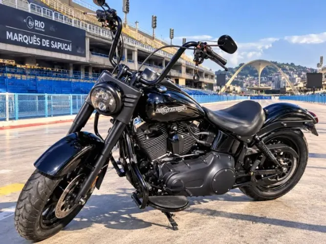 HARLEY-DAVIDSON FAT BOY FLSTF Custom
