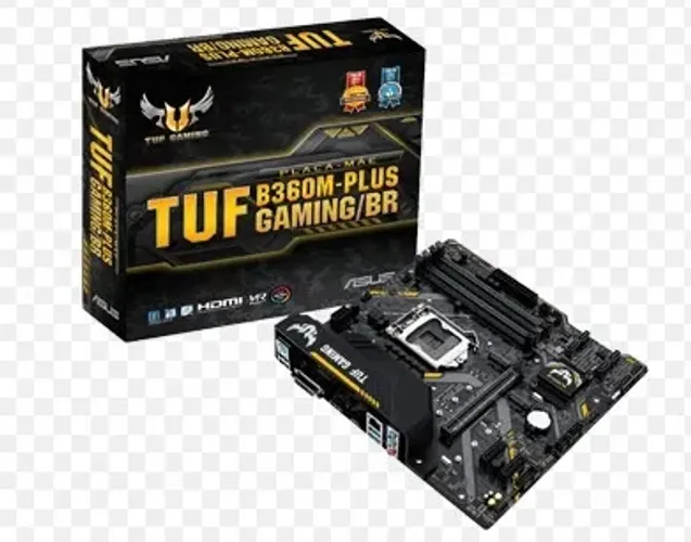 KIT - Placa mãe, Processador, Memória e SSD
