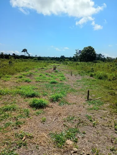 Terrenos a venda