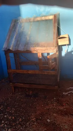 Vendo viveiro