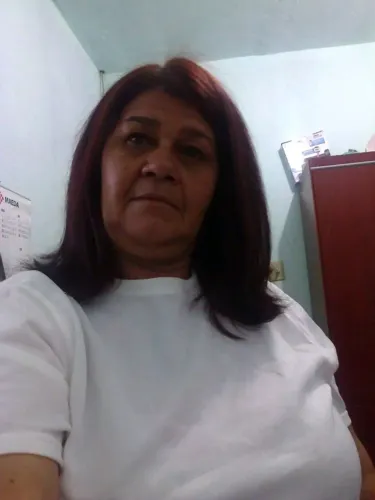 Diarista