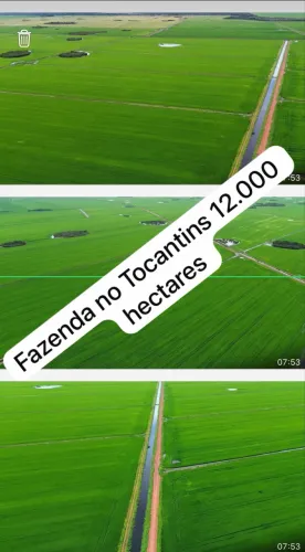 Fazenda no Tocantins 12.000 hectares 