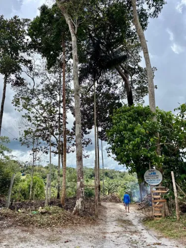 Sítio na BR174 km23