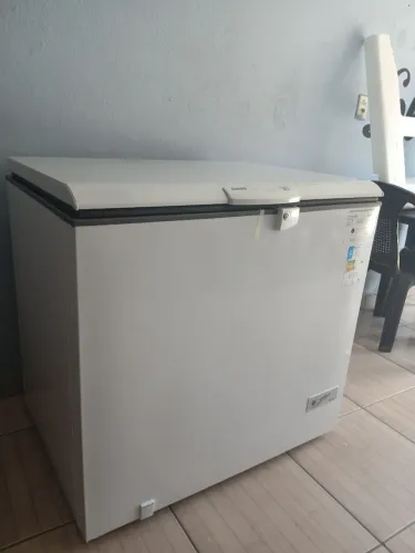 Freezer Consul 309L