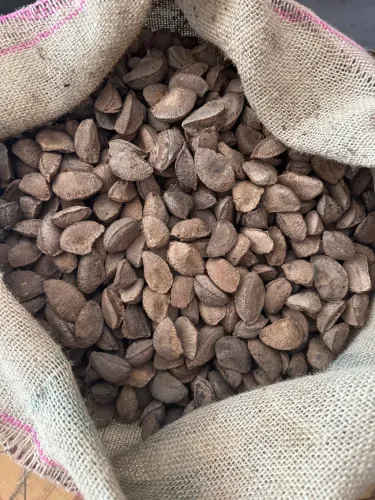 Vendo Castanha com Casca