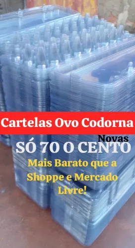 Cartela Ovo Codorna  /  Campos dos Goytacazes Rj 