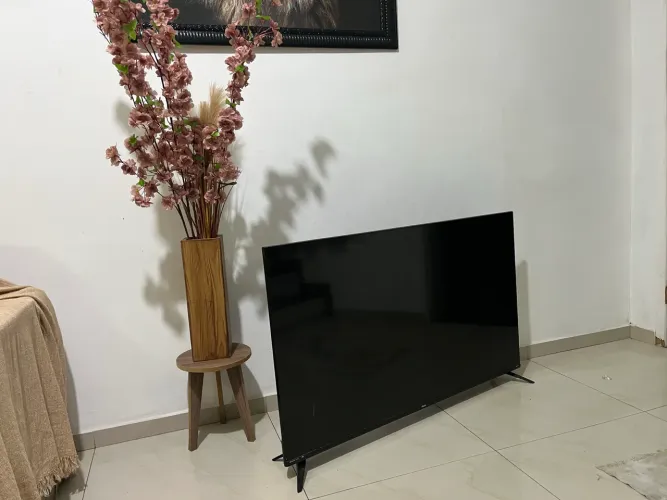 TV Philco Roku TV 50? 4K LED (PTV50RCG70BL) - Com defeito na tela