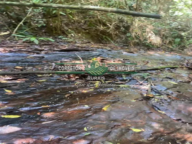 Belo Sítio Beira Rio Baependi , uma nascente , pequena cachoeira , apenas 1 klm do asfalto