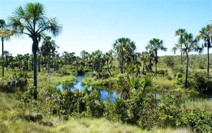 FAZENDA CHAPADA GAÚCHA