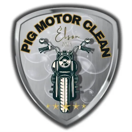 PIG MOTO CLEAN , ESTÉTICA EM MOTOS